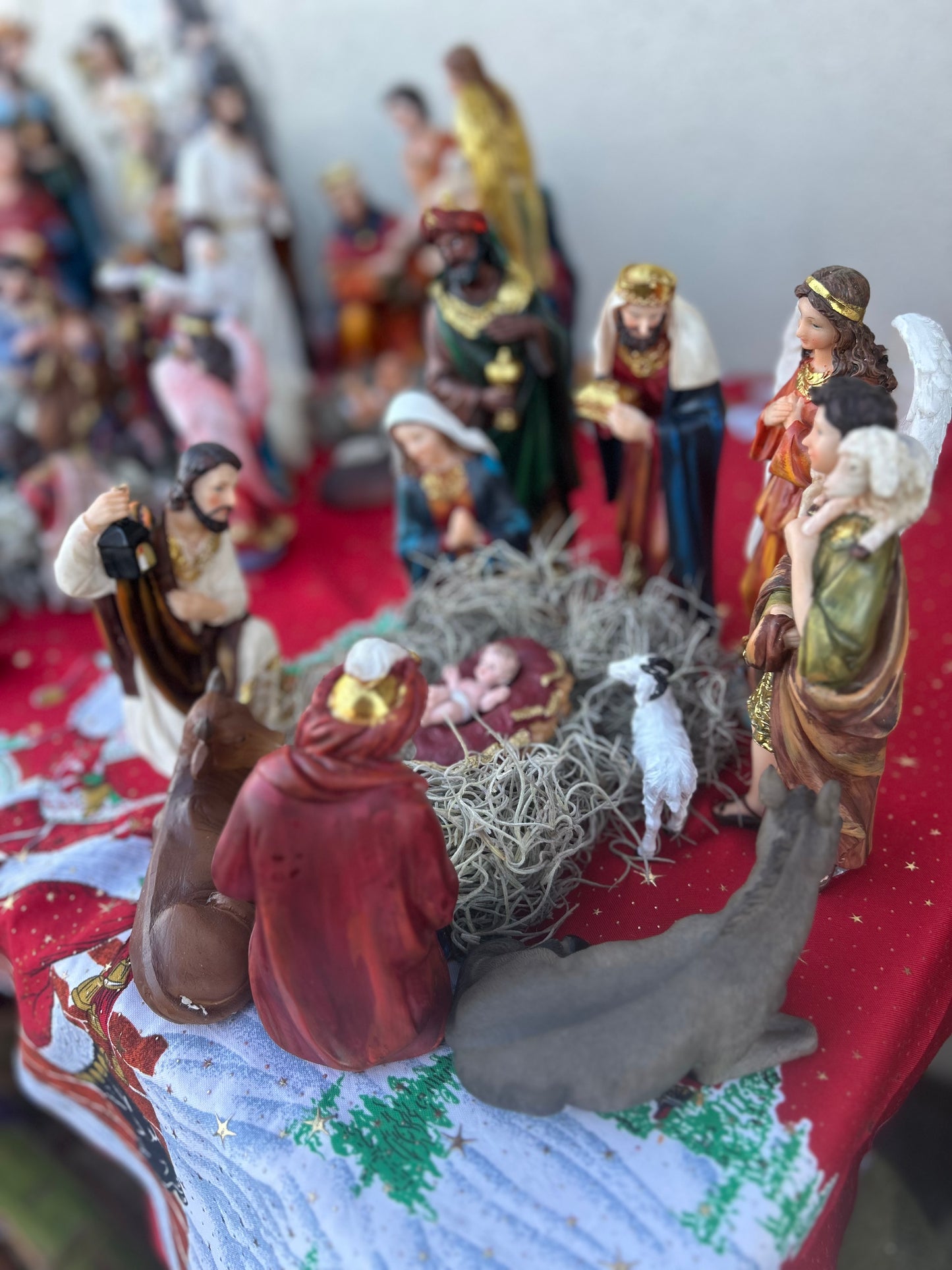 Nacimiento chico