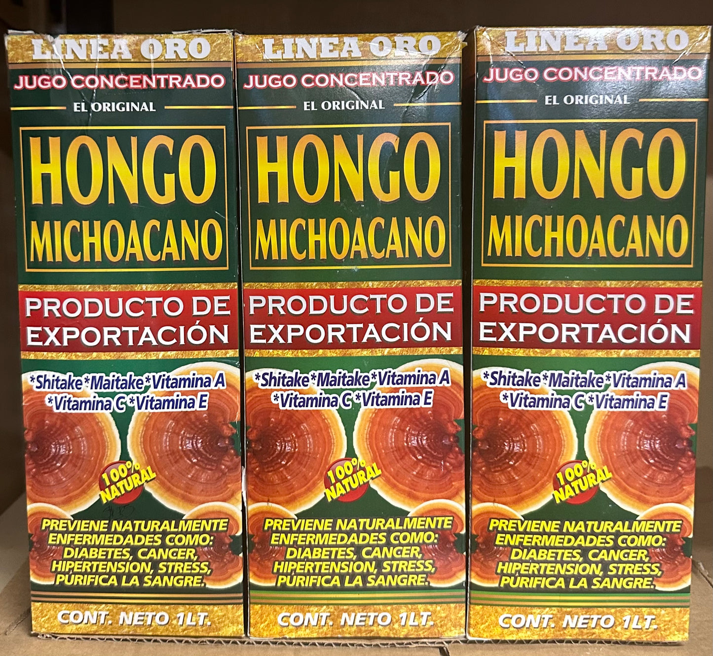 Hongo Michoacano